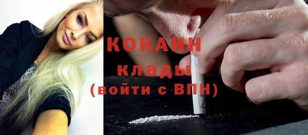 дмт Козельск