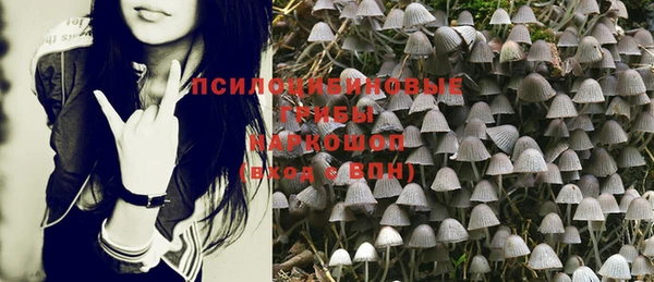 марки nbome Козловка
