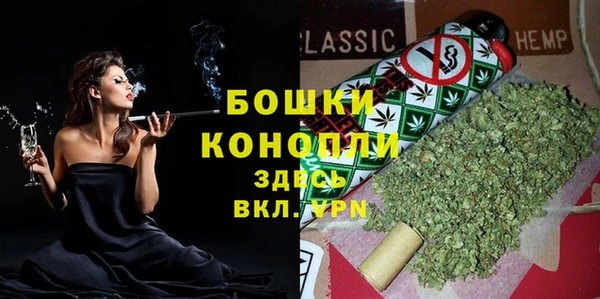 дмт Козельск