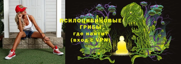 марки nbome Козловка
